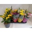 product/img.floraplaza.nl/22050-14MIX-LIVE_fotos-0x507ABD4E241FDA56008A18E26C3966D6D9AB4F3D.jpg
