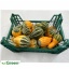 product/img.floraplaza.nl/22456-LIVE_fotos-0xD971F5262D86AE6CD43ECD2A75FAAB9AA7CC39E0.jpg