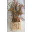 product/img.floraplaza.nl/22525-80-LIVE_fotos-0x0DF0A7754917C0F22333FC75C37EE436AEB9D7B7.jpg