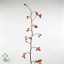 product/img.floraplaza.nl/22527-80-ART_fotos-VBN-vbn22527.jpg