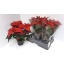 product/img.floraplaza.nl/22618-14-LIVE_fotos-0xB1D89974407697AFD2FFD8D58E8AA936BC449EEE.jpg