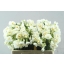 product/img.floraplaza.nl/23111-ASSORTI_fotos-MVA-Narcis bridal crown.jpg