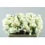 product/img.floraplaza.nl/23111-ASSORTI_fotos-MVA-Narcis bridal crown.jpg