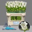 product/img.floraplaza.nl/23219-70-LIVE_fotos-0xE978455B81D4ED9442A6CE7CE2B1FA62DC81E6CF.jpg