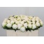 product/img.floraplaza.nl/23745-40-LIVE_fotos-0xE31ABC9F7F9893F642C422919E884CCAB53563D8.jpg