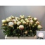 product/img.floraplaza.nl/23745-55-LIVE_fotos-0x7B5ABE9B2309AF3B71776D2710AB2AE0E8AAD467.jpg