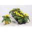 product/img.floraplaza.nl/24402-12-LIVE_fotos-0xC5A2F1B1CC781DB5ABEBC702E5BB5B845C7B92CB.jpg