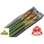 product/img.floraplaza.nl/24919-80-LIVE_fotos-0xF6162F55C4F9F161C3DFD9F361625CAFD97B1B1F.jpg