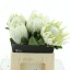 product/img.floraplaza.nl/24949-40-LIVE_fotos-0x35FE523A1FF845CAD0450F0291EB27CF886F322D.jpg