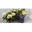 product/img.floraplaza.nl/25239-14-LIVE_fotos-0x95F776E61E9D4C92BED72A6569ECFAFB76AB985D.jpg
