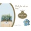 product/img.floraplaza.nl/25678-50-LIVE_fotos-0x3D3EFDE72CD801D5D4CDC4B34DB99CBEA96B9453.jpg