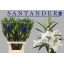 product/img.floraplaza.nl/25816-95-LIVE_fotos-0x4F2F814763CBD0DB582E722C27E278C975C8E87D.jpg