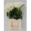 product/img.floraplaza.nl/26297-55-LIVE_fotos-0xDFF918F658EC654296F94D48A8BF227145A82E50.jpg