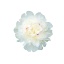 product/img.floraplaza.nl/2649-40-LIVE_fotos-0x2D56038BC669AB46FAE3C64B1D637B2DDAFEF2FE.jpg