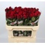 product/img.floraplaza.nl/26599-70AL-LIVE_fotos-0xC85FB91DDD03DFB088F94CCEA3A47FB379E06524.jpg