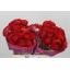 product/img.floraplaza.nl/269-40-LIVE_fotos-0x43592077C766FD3A56C36CC45ED2DA17C1D6D3EF.jpg