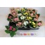 product/img.floraplaza.nl/26912-6-LIVE_fotos-0x3D0FEC233473927E42F085FD472A9C37D455296D.jpg