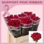 product/img.floraplaza.nl/27157-60-ASSORTI_fotos-Pink Ribbon 2025-Porta Nova Rosa LA Red Naomi- Unica Porta Nova 60cm.jpg