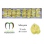 product/img.floraplaza.nl/27666-50-LIVE_fotos-0xA077FFA861D13ECC730FDE9192C34B86101AF3AC.jpg