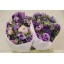 product/img.floraplaza.nl/28-40-ASSORTI_fotos-MVA-Anemone mistral plus celeste.JPG