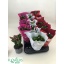 product/img.floraplaza.nl/28608-9-LIVE_fotos-0x4DC48F89C2B5023C6296F3DCC7C0348DA4147ED1.jpg
