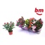 product/img.floraplaza.nl/28991-510-LIVE_fotos-0x3BF6842B465CC978080FAC170AD85A101DCD0D57.jpg