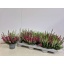 product/img.floraplaza.nl/28998-509-LIVE_fotos-0x08A132AE39D7D2875AEA549828F7C3E4FFD6C863.jpg