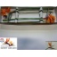 product/img.floraplaza.nl/312-70-LIVE_fotos-0x415A3CDD76098C3FF1E9F98B848A94B43C43F6C7.jpg