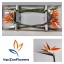 product/img.floraplaza.nl/312-80-LIVE_fotos-0x19B9C93B2AC4DEEDF1797281D32EC71AF81BF6EF.jpg