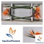 product/img.floraplaza.nl/312-80-LIVE_fotos-0x1F131CED922C1CB92AFEEEC2990026DAAA0EB4AA.jpg
