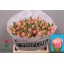 product/img.floraplaza.nl/316-40-LIVE_fotos-0x73731BC171A193E71474078AC0EADBA4A67EEA39.jpg