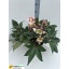 product/img.floraplaza.nl/319513-21-LIVE_fotos-0x3638457F63DB45B56C3404FC37663BCFE27B9FC3.jpg