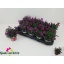 product/img.floraplaza.nl/373826-510-LIVE_fotos-0xD3E0ADC77B5BE71D680824BED2AAB863B54EDF3B.jpg