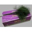 product/img.floraplaza.nl/3908-60-ASSORTI_fotos-GCON-GCON Blad treefern asparagus virgatus Intra Greens.jpg