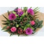 product/img.floraplaza.nl/396-45-LIVE_fotos-0x33E2560A915B65D807482252C5FD7A02995A9C9B.jpg