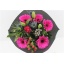 product/img.floraplaza.nl/396-45-LIVE_fotos-0xE60AA9B31484AF2C5041BD255B429F048BC19B34.jpg