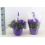 product/img.floraplaza.nl/41473-22-LIVE_fotos-0x0E7E0A718997469ABA0BAC9BA68A42EB593AA66A.jpg