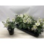 product/img.floraplaza.nl/43328-12-LIVE_fotos-0x614A3EC5C99A73A4A8386F4E94CC396B0B795EF9.jpg