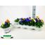 product/img.floraplaza.nl/47413-12-LIVE_fotos-0xDED276ED917DF4B445B799D06DDA94415CB6A387.jpg