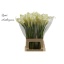 product/img.floraplaza.nl/48-75-LIVE_fotos-0xD32D5A54DB0A355671D7FED2B1A0F324CC8739C8.jpg