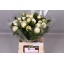 product/img.floraplaza.nl/5558-55-LIVE_fotos-0x154DE2DBA4CD37B07CD7C2C48C220FB497CA4989.jpg
