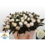 product/img.floraplaza.nl/5558-55-LIVE_fotos-0x77F9D3FE8E9DFDDDE732EAAC282A98D3AFE27BA5.jpg