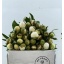 product/img.floraplaza.nl/5558-55-LIVE_fotos-0xDEF0EDE34C983A1512AEEB4781F47F0C90A6DFF3.jpg