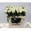 product/img.floraplaza.nl/5558-55-LIVE_fotos-0xF200EE40B70E8C5B97053F49D34890007BAA5F28.jpg