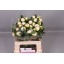 product/img.floraplaza.nl/5558-55-LIVE_fotos-0xF3AE3F074BE0960AC47E259917A9E49C27A14825.jpg