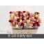 product/img.floraplaza.nl/579-50-LIVE_fotos-0xBBB6C6BB2FC3A1999904B5506C204F00CD24C1C5.jpg