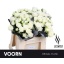 product/img.floraplaza.nl/595-40-LIVE_fotos-0x4020A5CFF47CDD71B8DADA60BD13205FF8FCA413.jpg