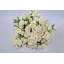 product/img.floraplaza.nl/595-40-LIVE_fotos-0x719E2BC6A5A060D8354033D33AEF230AF9C119F0.jpg