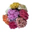 product/img.floraplaza.nl/595-40-LIVE_fotos-0xFC031C0D83BFA2CDF1F6C657D055632F8BDC9329.jpg