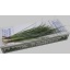 product/img.floraplaza.nl/6174-75-ASSORTI_fotos-gcon-GCON Blad beargrass.JPG
